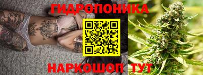 СК Кимры