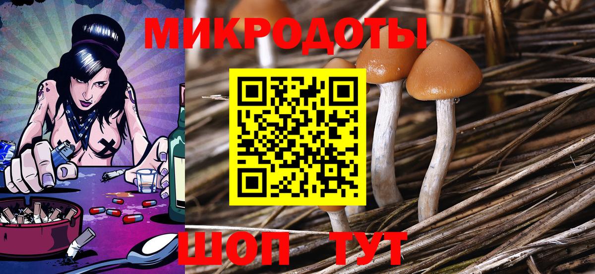 Псилоцибиновые грибы прущие грибы  Вход с VPN  Электрогорск 